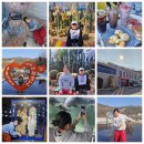 정원파크 | [공지] 아이와 가볼만한곳 예술정원1999 자연예술테마파크 주말 방문후기