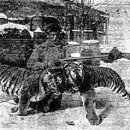 BIG GAME STATION 이미지