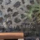 든돌민박 이미지