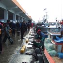 울진대게 이미지