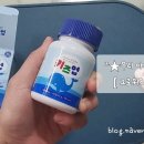그로업 키즈 네이버블로그