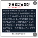 상산약국 | 올리비움 산후조리원 - 로얄룸 2주 후기 (100% P성향 초산모 완모지향맘 추천)