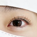 로야뷰티 | 군산 속눈썹 잘하는 곳, 로아뷰티