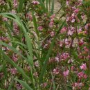 부모교육 상담사 2급 과정 | 부산광역시 서구청 평생학습관 부모교육 상담사 2급 과정 제6차시를 진행하고