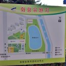 화랑유원지(중심광장) 네이버블로그