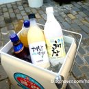 완두콩스테이 이미지