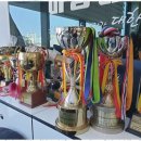 참 태권도장 이미지