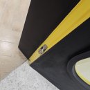 우솔약품 이미지