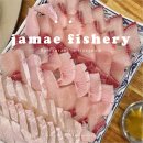 사평대로18길 16-3 | 서울 3대 방어맛집 "자매수산 강남본점" 웨이팅 가격 솔직후기