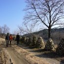 바우길 13구간 이미지