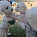 스토리 멍 이미지