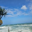 뉴 비치모텔 이미지