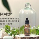 눈꽃아로마