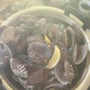 창수네김 | [부산/가덕도] 굴 전문맛집, 주말 오전 방문 후기, 운창수산 (2025.12.14.)