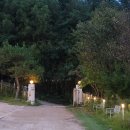 부산 해운대 애견동반 가능 카페 추천 :: 신선한 과일메뉴를 즐길수 있는 [프루터리포레스트] 방문후기