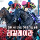 경마장호프 이미지