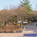 계룡산동학사자동차야영장 이미지