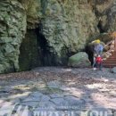 제주 안덕계곡 상록수림 이미지