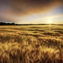 경북공인중개사사무소 이미지