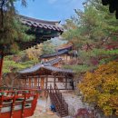 금선사 - 종로구 | 금선사