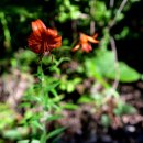 오소리약수터 이미지