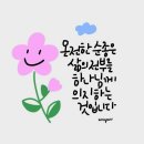 결초보은 아카데미 제3강 | [믿음행전] 신학 아카데미 제4강 후기 : 하나님의 구속사(救贖史)