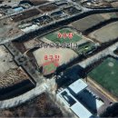 "급구" 6/6(토) 21시 前삼성라이온즈 정민우 코치의 "ACE PROJECT" 레슨!! -타격/투수 이미지