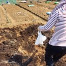 고양농장 이미지