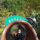 꼬미엔소 이미지