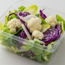 샐러드요 이미지