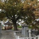 내서읍689 이미지