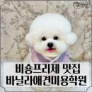 논산애견미용학원 | 논산애견미용학원 심사위원 직강으로 배우는 수준 높은 커리큘럼!