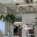 진산로L | 용인 수지 미용실 추천 로나 수지구청점 내돈내산