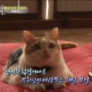 영영화장품