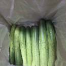 민숙농장 | 오이참치비빔밥 만들기 농라 공품오이 한입오이 피클