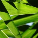 효성중공업(주) 이미지