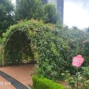 가음정사거리 이미지