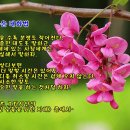 [영상 음악] Wherever You Go (당신이 어디에 가 계시던)/Frank Mills &amp; photo by 모모수계 이미지