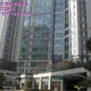 분당-239 이미지