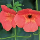 뚝섬한강공원-27 이미지