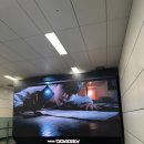 쿨 마 트 | #15.2025 위버스콘 페스티벌 다녀온 후기♥️(보이넥스트도어)