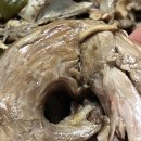 해물밭에 노는 닭 | 해남 닭코스요리 맛으로 입소문난 해물밭에노는닭 후기