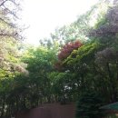 검바위약수터 이미지