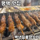 일품양꼬치 | 평택 맛집 [백년일품양꼬치] 솔직 후기