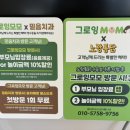 그로잉숲미술학원