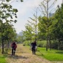 빛가람근린공원 이미지