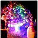 라비에팬션 이미지