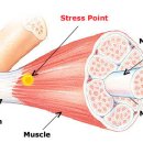 CrossFit MANIAC 이미지