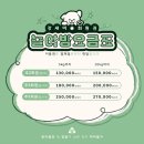 똥강새이 | 대구 대명동 애견카페 실내도 루프탑도 넓어서 좋은 강새이