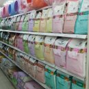 핫독애견백화점 이미지